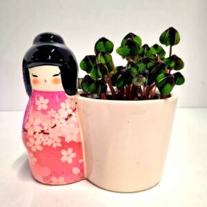 Trifoi Norocos 🍀 – Ghiveci Ceramic cu Kokeshi 🎀 10,5 CM
