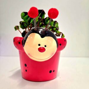 Trifoi Norocos 🍀 în Ghiveci Ceramic Buburuză Rosie 🐞 10,5 CM