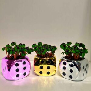 Trifoi Norocos 🍀 în Ghiveci Zar Metalizat 🎲✨ Mega 14 CM