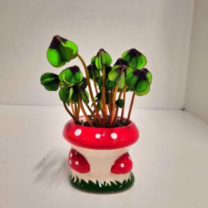 Trifoi Norocos cu Hornar și Ciupercuță 🍀🎩🍄 9CM