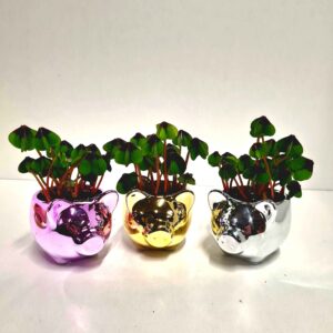 Trifoi Norocos 🍀 în Ghiveci Porcușor Metalizat 🐷✨ 9 CM