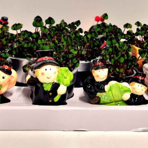 Trifoi Norocos 🍀 – Set Mix 10 Piese Tematice 🎁🐷10,5 CM