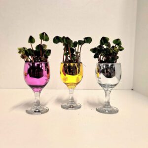 Trifoi Norocos 🍀 în Pahar de Șampanie Metalizat 🥂✨ 9 CM