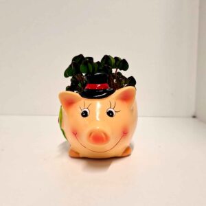 Trifoi Norocos 🍀 în Ghiveci Porcușor cu Pălărie 🎩🐷10,5 CM