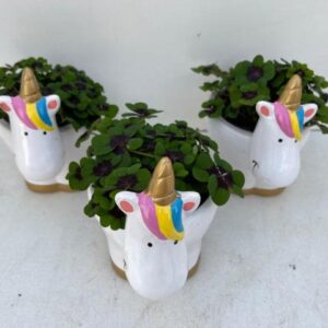 Trifoi Norocos cu Unicorn Magic 🍀🦄🌈 10,5CM