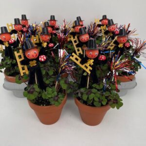 Trifoi Norocos în Ghiveci – Cu Hornar, Ciupercuță Roșie și Ghiveci Ceramic 🍀9 CM