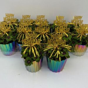 Trifoi Norocos – Ghiveci Curcubeu Strălucitor cu Decor Aurit 🌈✨10,5 CM